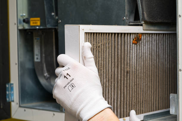 Best Professional Duct Cleaning Services  in Valdez, AK