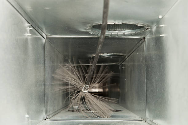 Best Air Duct Mold Removal  in Valdez, AK