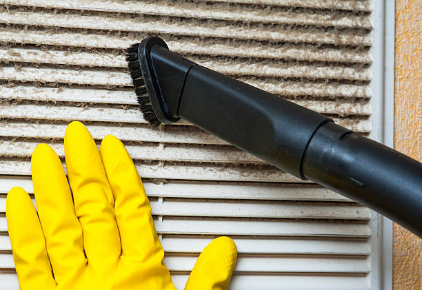 Best Duct Cleaning Specialists  in Valdez, AK