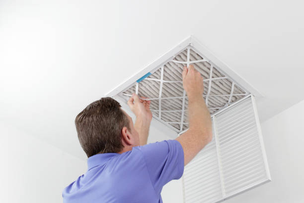 Best Ductwork Cleaning Services  in Valdez, AK
